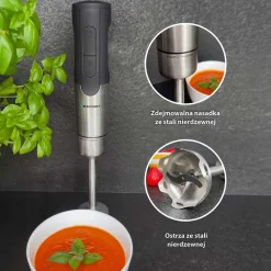 Blender ręczny Blaupunkt HBD211, 1100 W, czarny