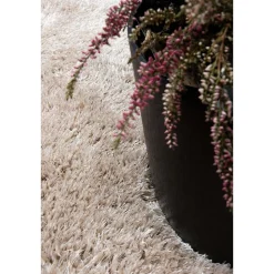 Dywan Multi-decor Galaxy, koło, 120 cm, ivory