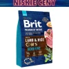 Karma dla psa Brit Premium By Nature Sensitive, sucha, z jagnięciną, 3 kg