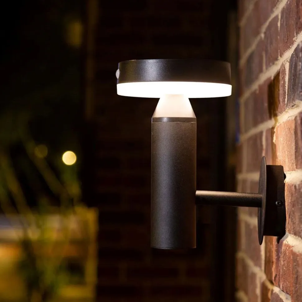Kinkiet solarny LED Sanico Goldlux Gwinea, czujnik PIR, 4000K