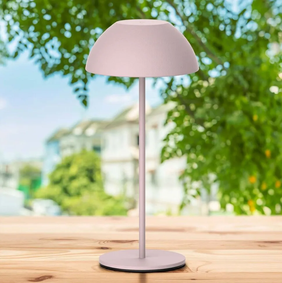 Lampa stołowa LED Sanico Goldlux Tanzania, USB-C, różowa