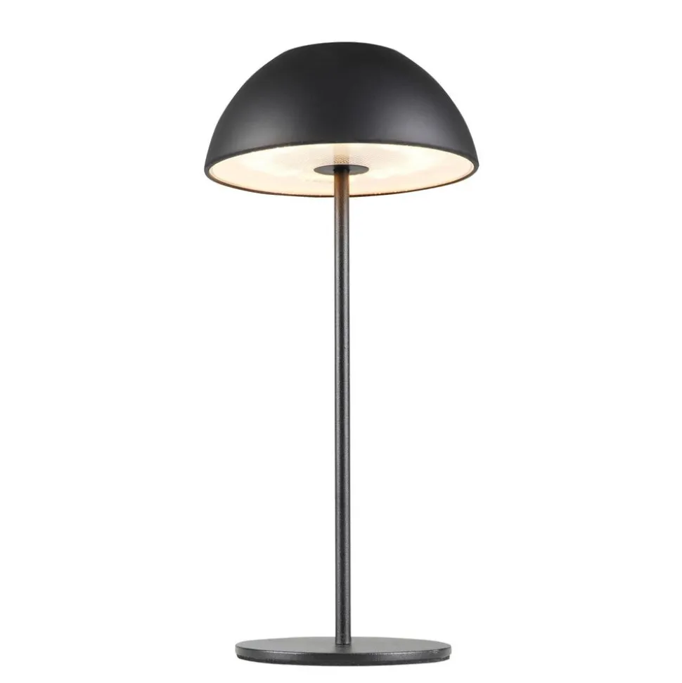 Lampa stołowa LED Sanico Goldlux Tanzania, USB-C, czarna