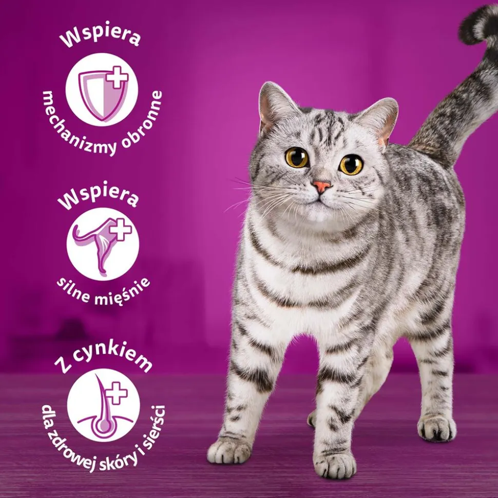 Mokra karma dla kotów Whiskas, saszetki, rybne przysmaki, 40 x 85 g