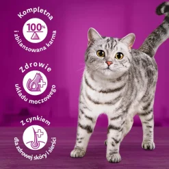 Mokra karma Whiskas, dla dorosłych kotów, z wołowiną, 24 x 400 g