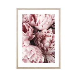 Obraz w ramie, 50 x 70 cm, peonie
