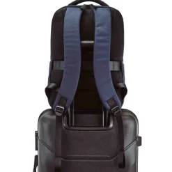 Plecak męski Wings Brant BRT02, 30 x 14 x 43 cm, 18 l, granatowy