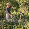 Sekator nożycowy Fiskars SingleStep™, hook (S) L28